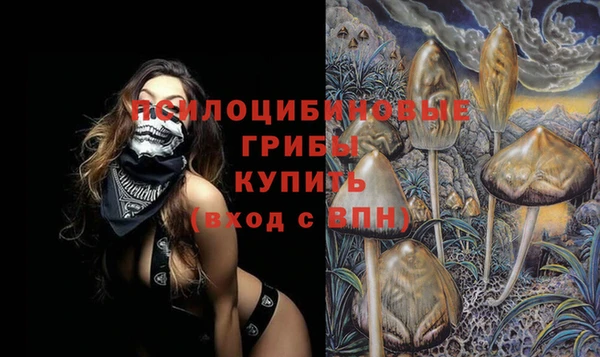 Альфа ПВП Заволжск