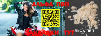 дмт Кингисепп