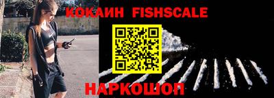 дмт Кингисепп