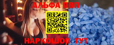 дмт Кингисепп