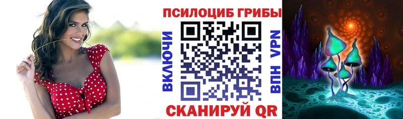 Галлюциногенные грибы Psilocybine cubensis  Еманжелинск 