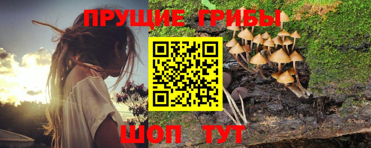 Еманжелинск  Псилоцибиновые грибы Magic Shrooms  Вход с VPN 